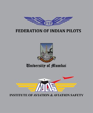 FIP Logos